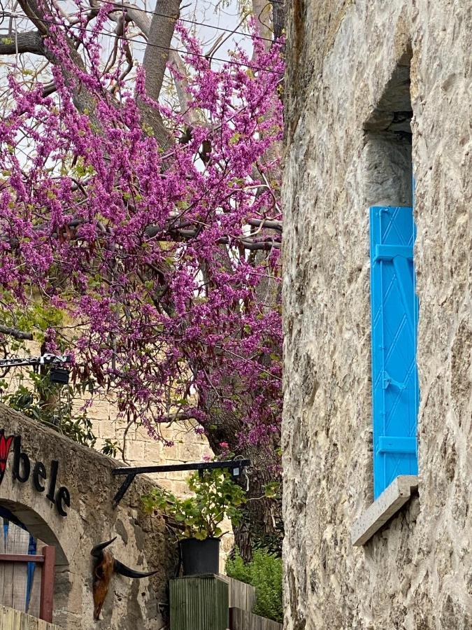 Bellapais Abbey Boutique Hotel キレニア エクステリア 写真